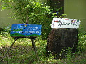 P5040267